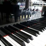 Đàn piano Yamaha C3B