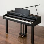 Đàn piano điện Roland RG-1F