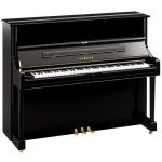 Đàn piano Yamaha U2F