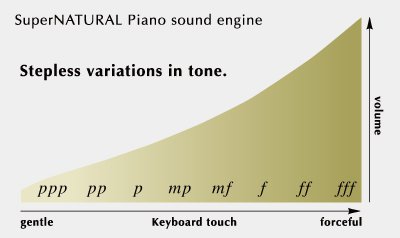 nguồn âm thanh supernatural piano