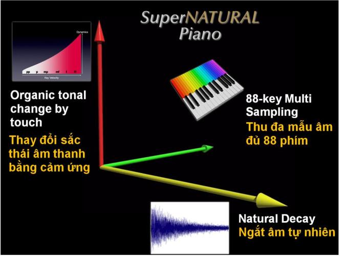 Công Nghệ âm thanh Supernatural piano roland hp 601