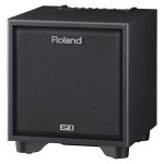 Amplifier Roland CM-110